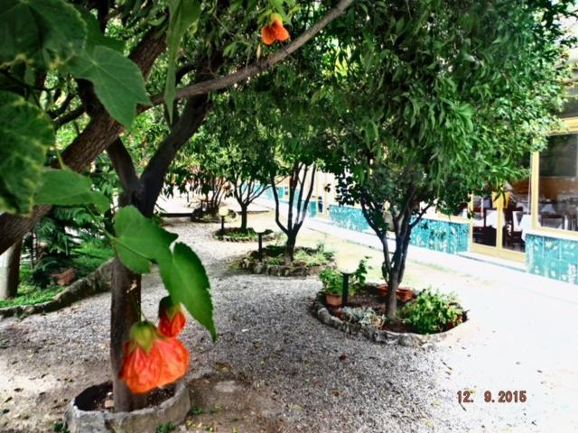 Hotel Villa Flora Bogliasco Zewnętrze zdjęcie
